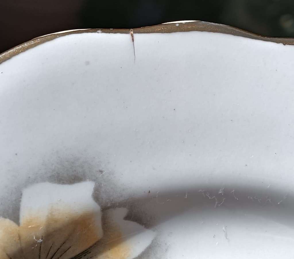 VINTAGE CROWN ROYAL (COLCLOUGH TRADEMARK) ENGLAND PORCELAIN TRIO AUTUMN FLORAL PATTERN