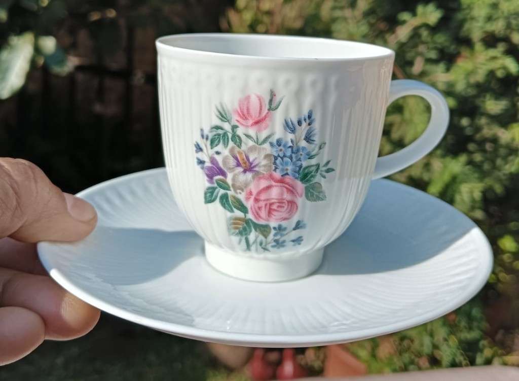 Gorgeous Hutshenreuther Selb Germany (1939-1965) 17 Piece Teaset in Beautiful Rose Excellenz Pattern