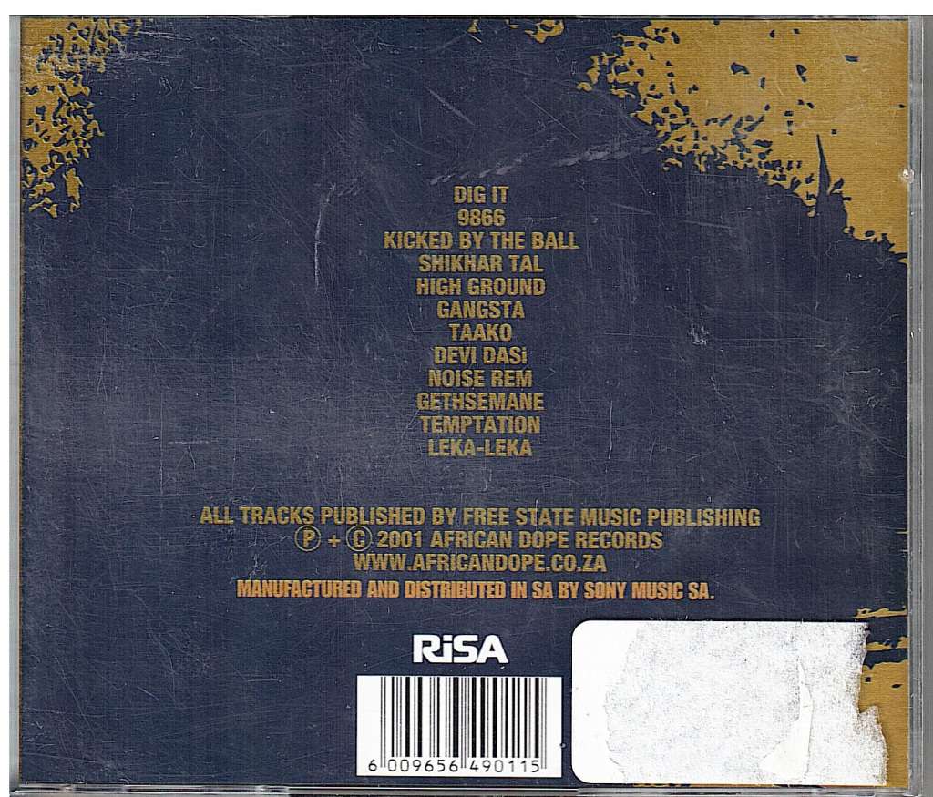 Kalahari Surfers - Akasic record