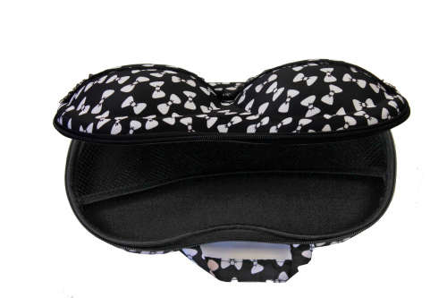 BRA AND PANTY ORGANISER