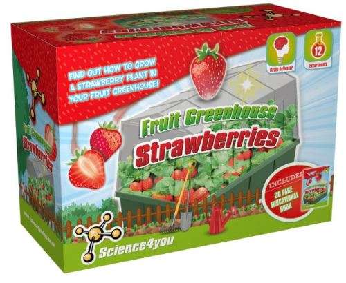 Strawberry Greenhouse