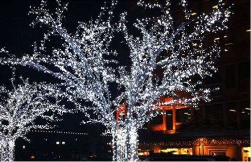 SOLAR FAIRY LIGHTS WHITE - OUTDOOR DECOR LIGHTING GADGETS PARTIES