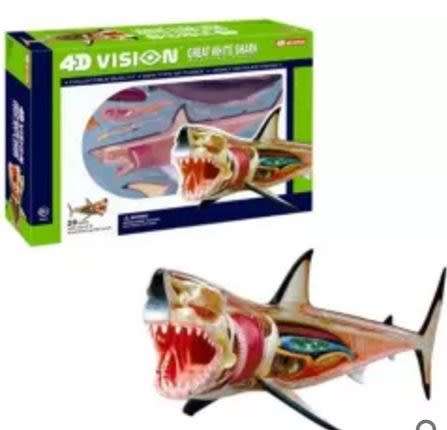 ANIMAL ANATOMY SHARK EDUCATIONAL TOYS GAMES KIDS GADGETS CHRISTMAS GIFTS
