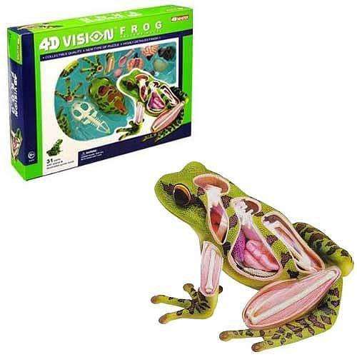 4D ANATOMY FROG EDUCATIONAL TOYS CHRISTMAS GIFTS SCIENCE GADGETS