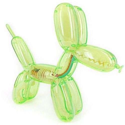 Balloon Dog Anatomy