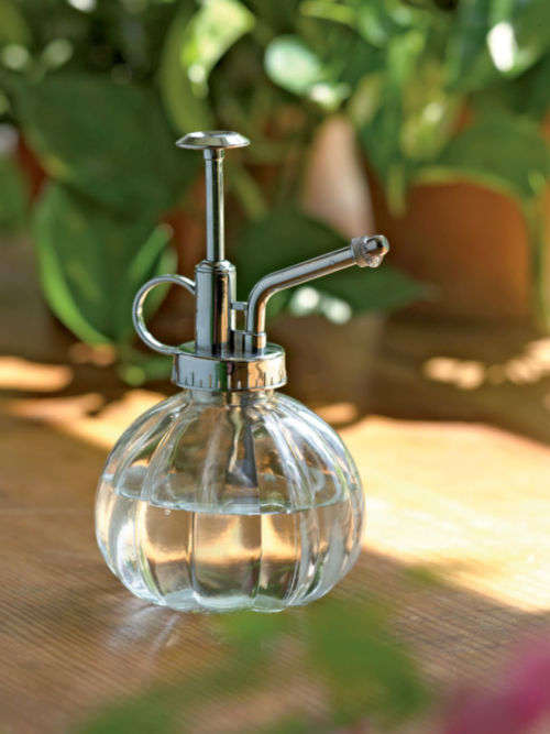 Plant Mister Sprayer with Vintage Appeal