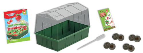 Strawberry Greenhouse