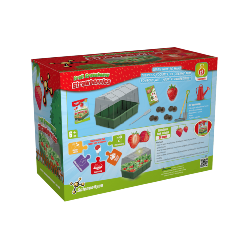 Kids Educational Science For You Strawberry Greenhouse