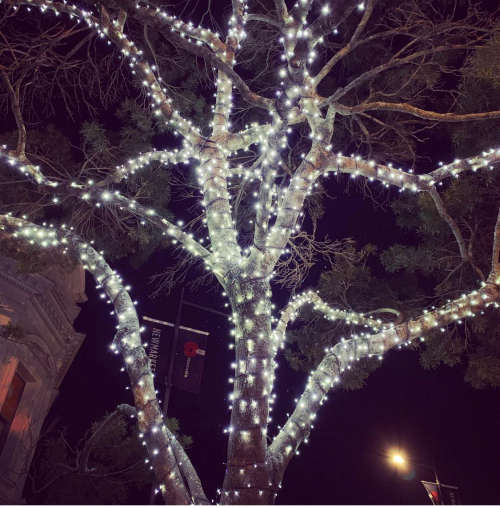 Christmas Decoration Lights