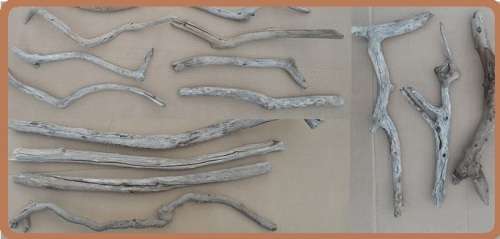 Driftwood