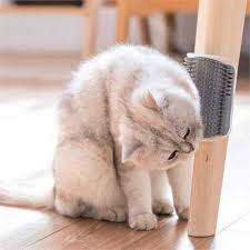 Cat Corner Self Groomer Wall Brush GET 2