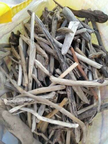 Driftwood Logs and Pieces Lot 11