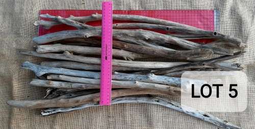 Driftwood Large Pieces