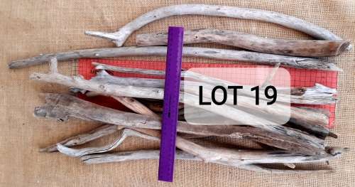 Craft Driftwood Logs and Pieces LOT 19