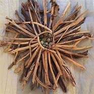 Driftwood Pieces Lot 7