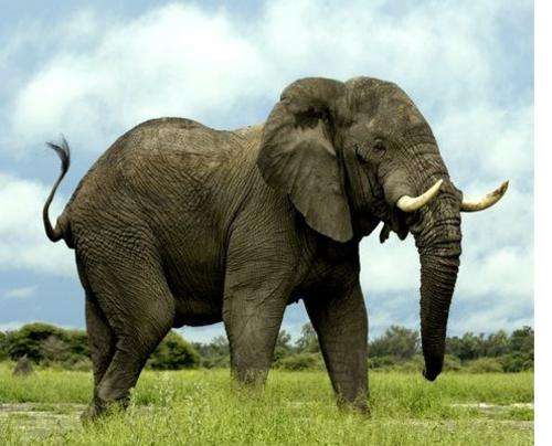 Luxury Accommodation near Addo Elephant Park