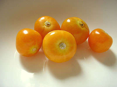 Cape gooseberry (Appelliefie) 24 seeds