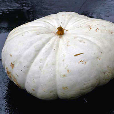 Boer Pumpkin White seeds - Vegetable