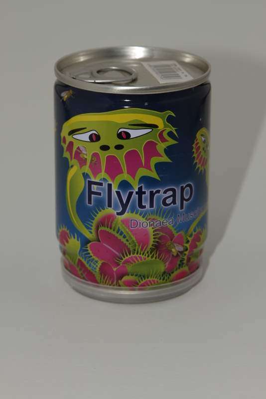 Venus Flytrap in tin