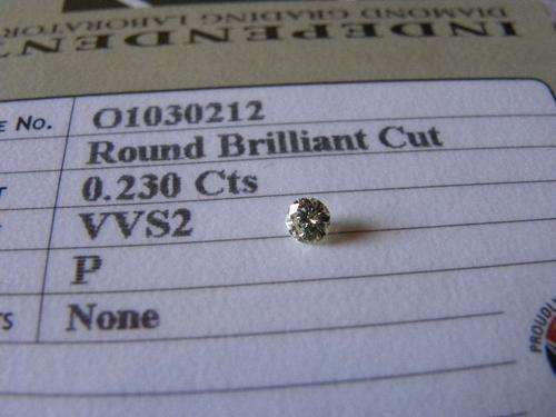 Euphorbia Clandestina