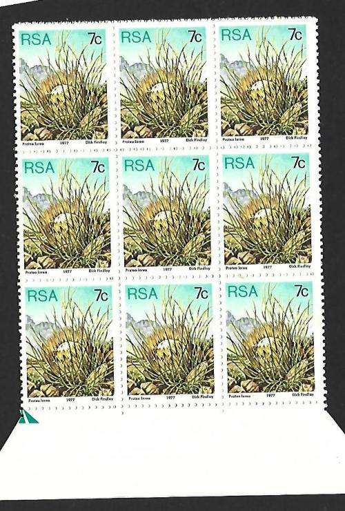 RSA - SACC 424 -Proteas 7c - Variety - short 7