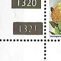 RSA - Protea Definitive 50c - SACC 432 - Variety Broken Nr.- **mint