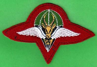1 PARACHUTE BATTALION BERET BADGE
