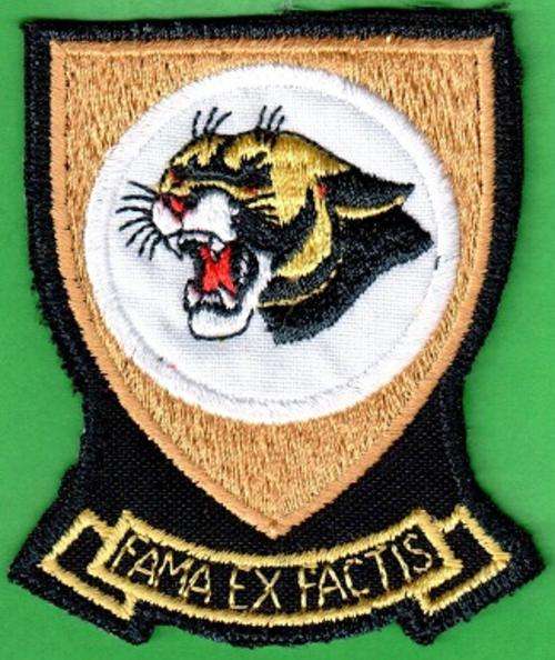 19 squadron insignia