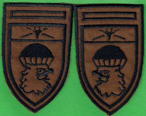 44 PARA BRIGADE HQ NUTRIA FLASHES,LEFT AND RIGHT