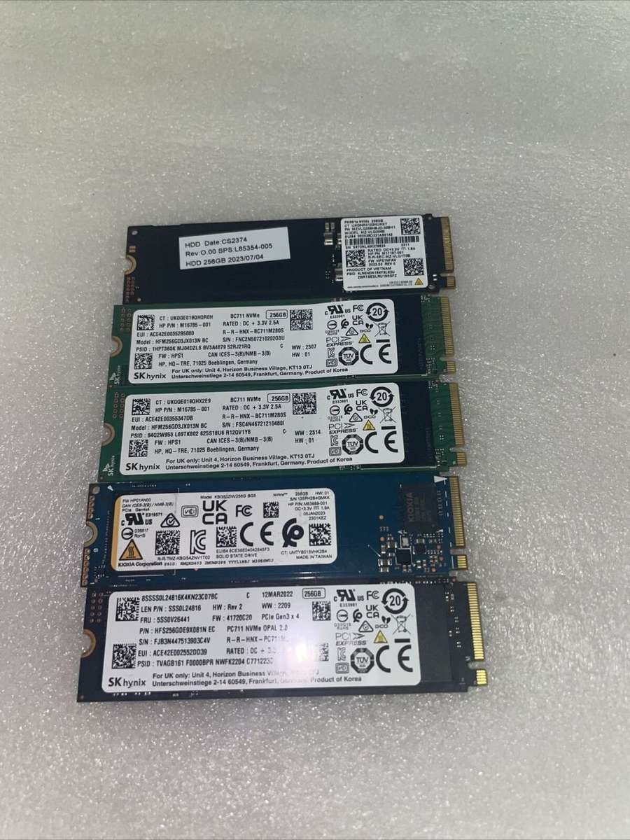 7 x 256GB Nvem SSD, One lot for all the bid, Fastest SSD, Portable, Latest PC & Laptop