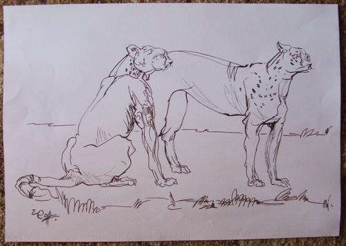 BIG Original Zakkie Eloff - 390 x 560mm - Sepia Ink on Fabriano Paper - LATE ENTRY