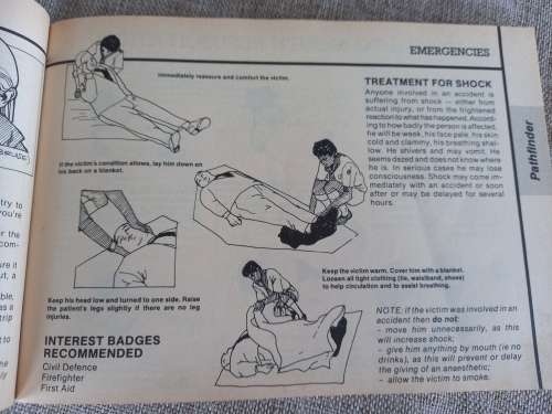The Scout Trail - Jay Heale