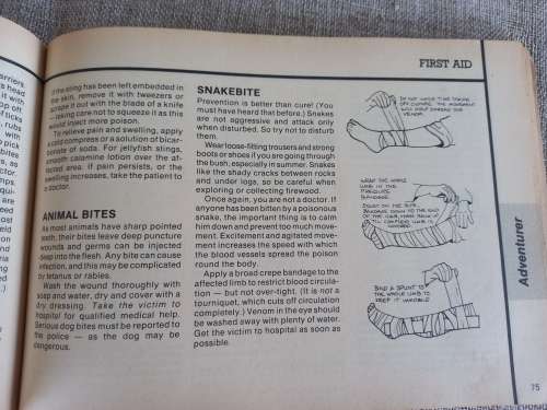The Scout Trail - Jay Heale