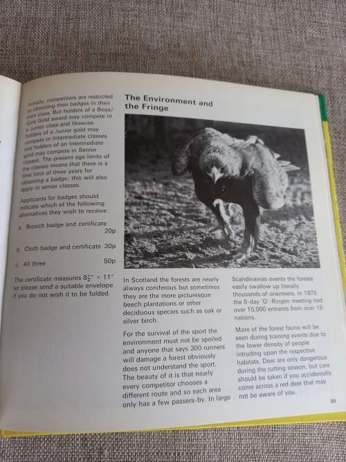 Orienteering - M. Henley