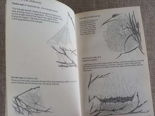 Struik Pocket Guides for South African Spiders