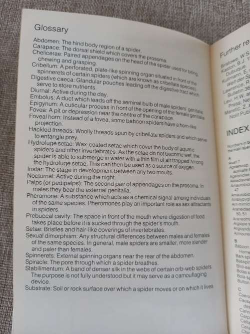 Struik Pocket Guides for South African Spiders