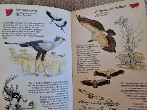 Struik Pocket Guides for Southern Africa Birds of Prey