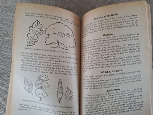 Scouting for Boys Scouts` Edition - Robert Baden-Powell