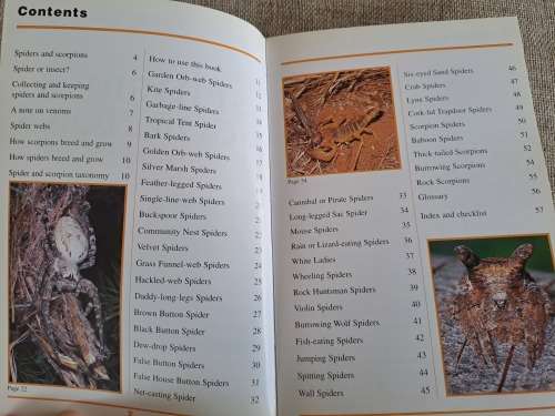 Sasol First Field Guide to Spiders & Scorpions of Southern Africa - Struik