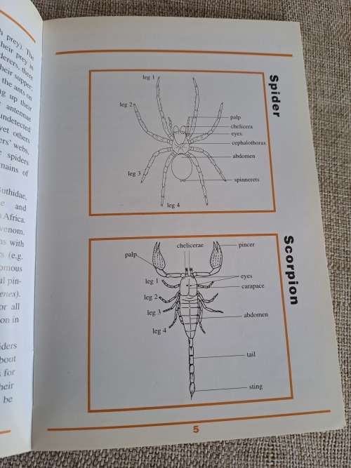 Sasol First Field Guide to Spiders & Scorpions of Southern Africa - Struik