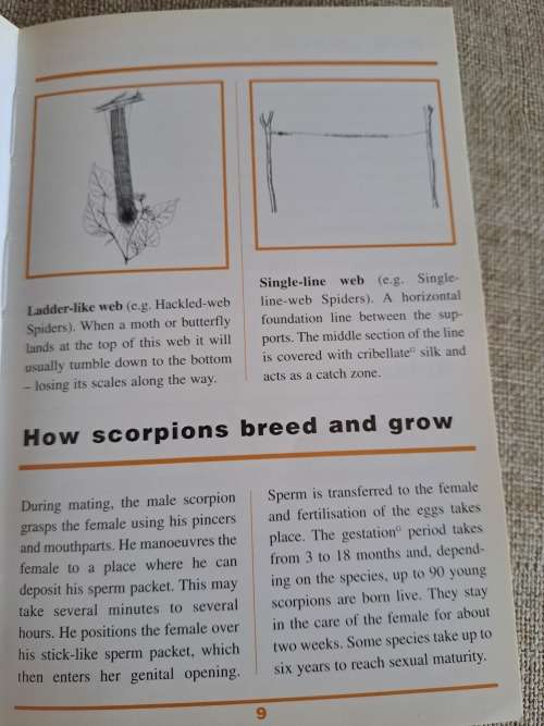Sasol First Field Guide to Spiders & Scorpions of Southern Africa - Struik