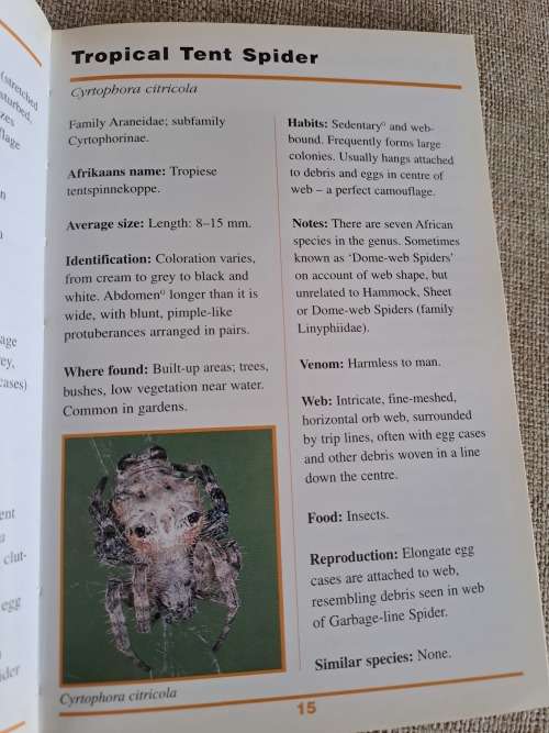 Sasol First Field Guide to Spiders & Scorpions of Southern Africa - Struik