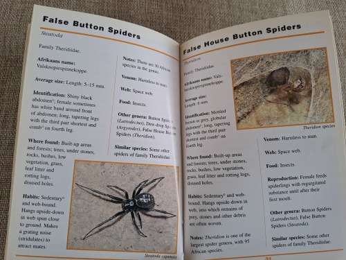 Sasol First Field Guide to Spiders & Scorpions of Southern Africa - Struik