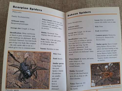 Sasol First Field Guide to Spiders & Scorpions of Southern Africa - Struik