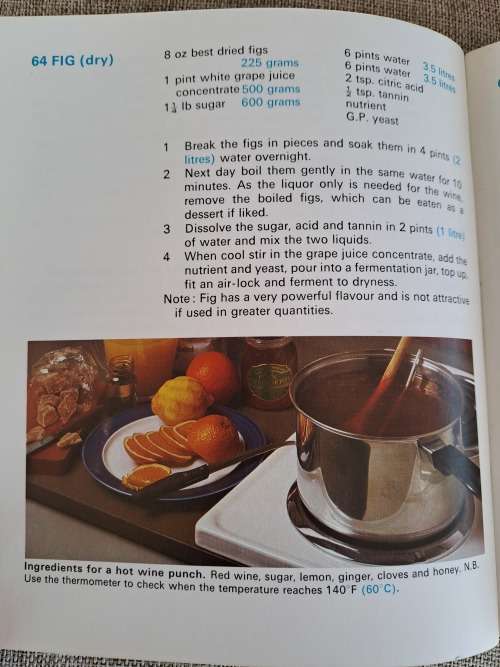 Home Wine Making & Brewing - B.C.A. Turner