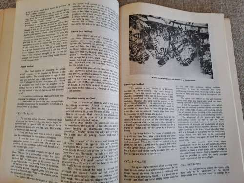 Beekeeping in South Africa - Anderson, Buys, Johannsmeier