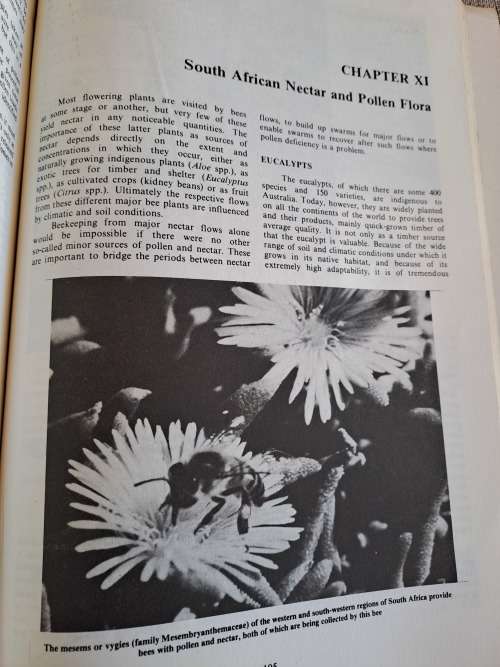 Beekeeping in South Africa - Anderson, Buys, Johannsmeier