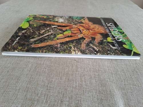 Spiders A Portrait Of The Animal World - Paul Sterry