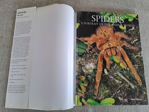 Spiders A Portrait Of The Animal World - Paul Sterry