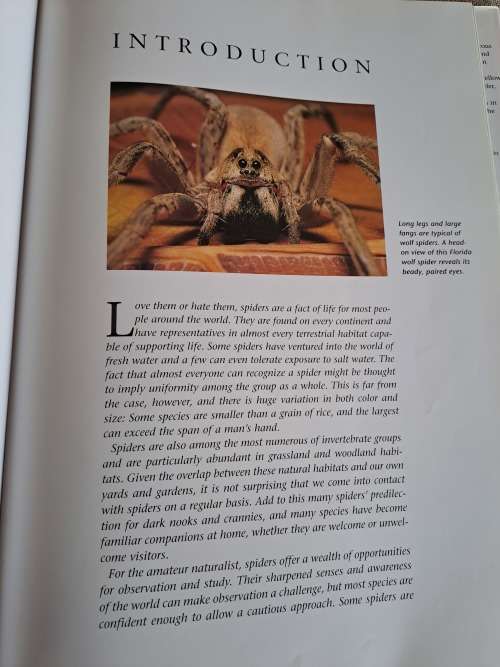 Spiders A Portrait Of The Animal World - Paul Sterry